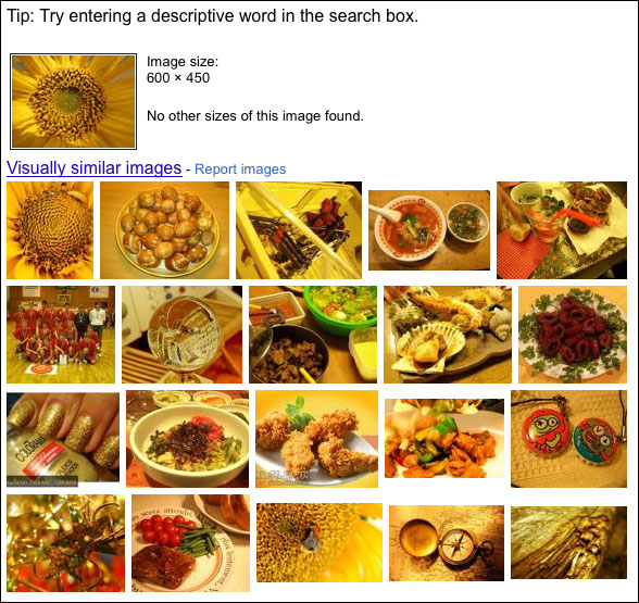 search by image. Search By Image got the color right, and recognized the circular shape 