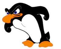 angry-penguin-200px