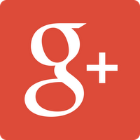 Google +