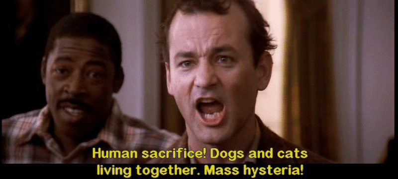 ghostbusters-meme-800x361.gif