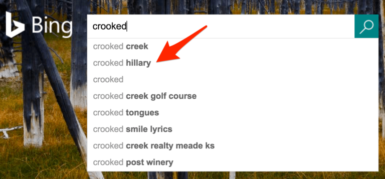 Bing crooked hillary