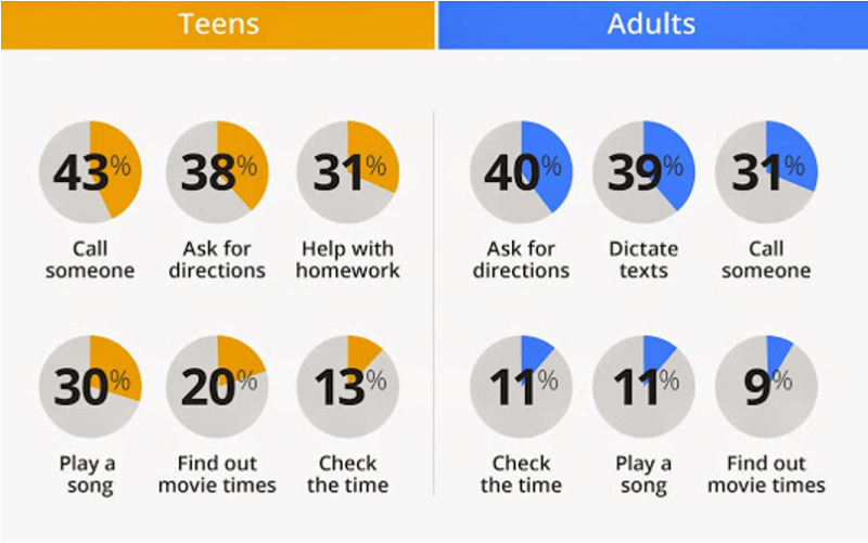 google_northstar_voice_research