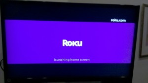 I need a hook for my essay roku