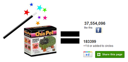 Search and Social Magic Chia Pet Solution