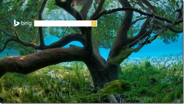 Bing homepage UnderwaterMangrove