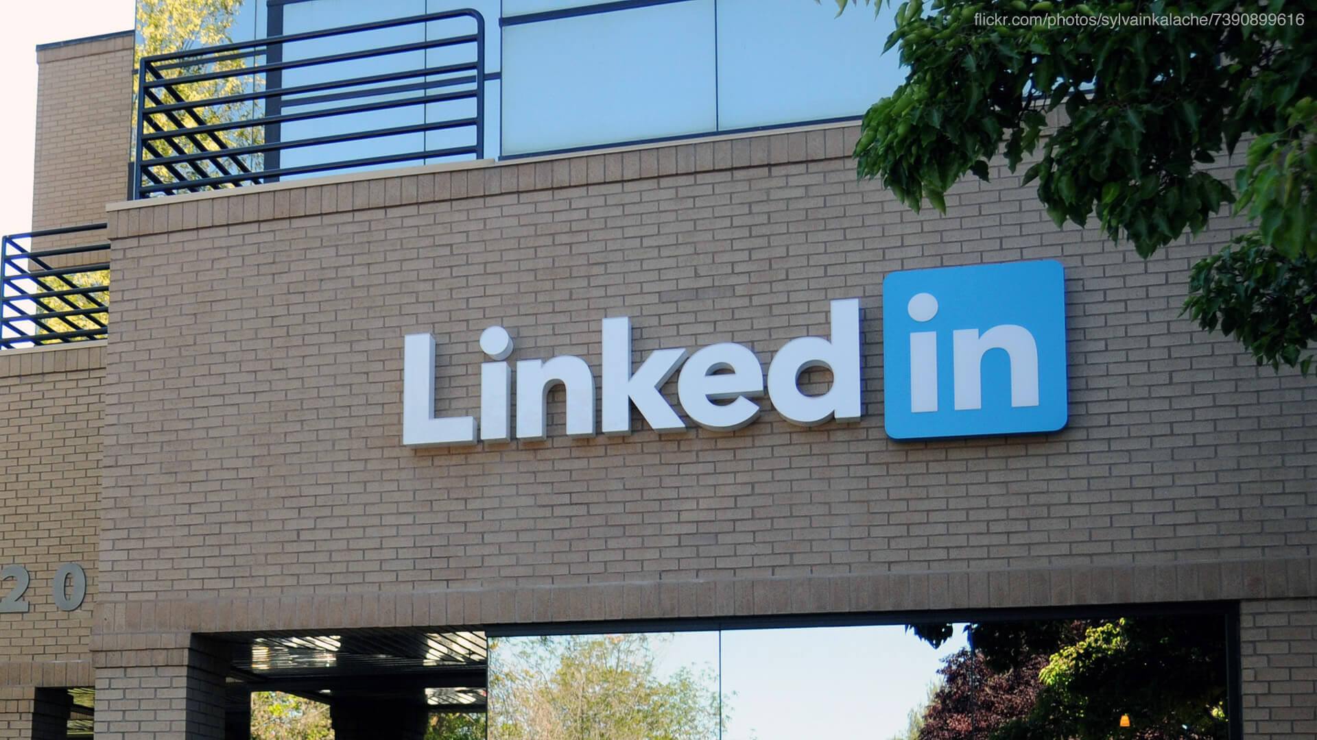 LinkedIn taps Bing search data for interest targeting