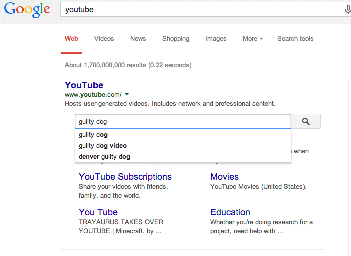 Google Search Within Site Feature