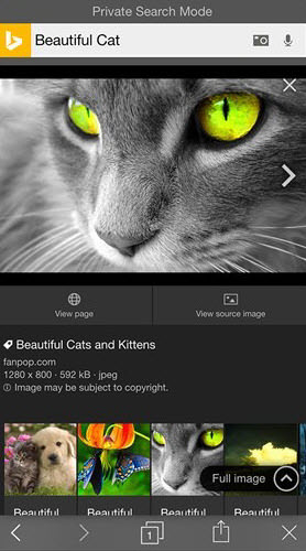 Bing privacy search mode BeautifulCat2