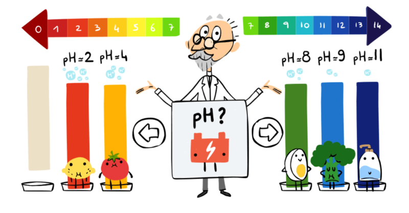 S P L Sorensen Google Doodle Doubles As A Quiz For Ph Levels Of Food Soap Batteries
