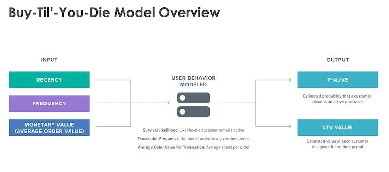 Btd Model