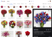 Google Image Search launches new image preview box