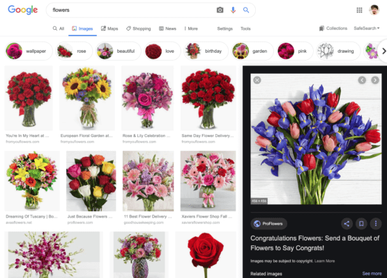 Google Image Search launches new image preview box | Good To SEO