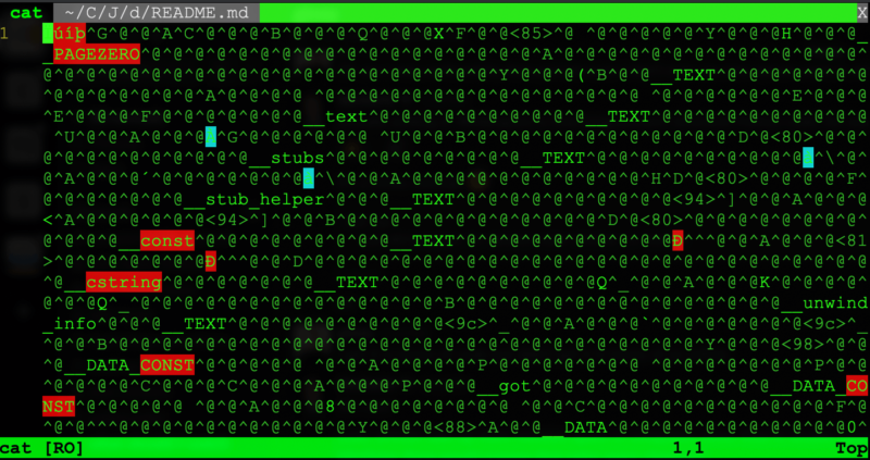 Binary File