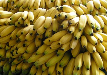 Bananas