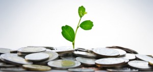 money-growth-plant-featured