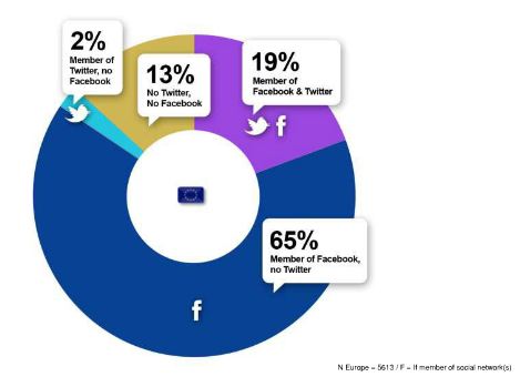 European Social Usage