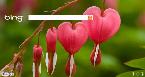 Bing Valentines 1329226078