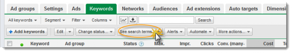 See Search Terms Button