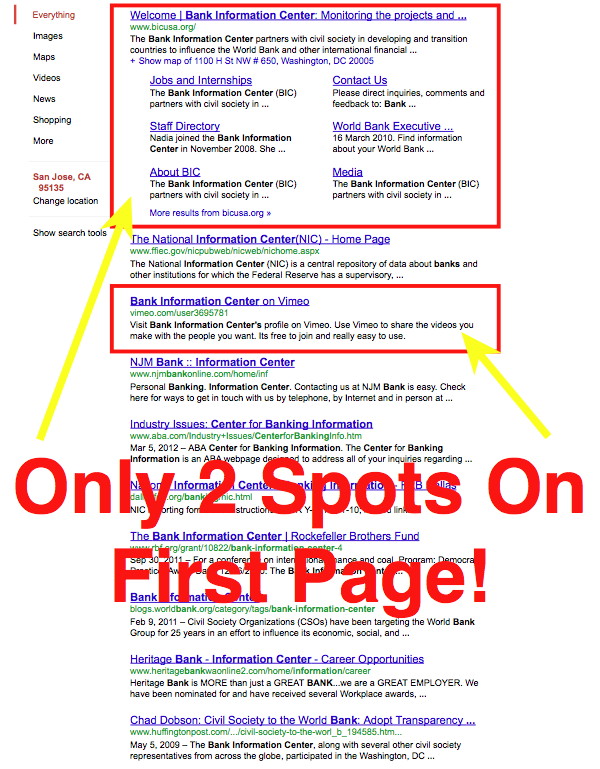 Picture Showing the First Page Results When Searching for BIC