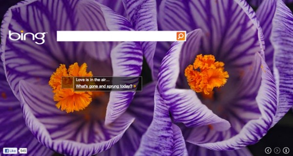 Bing Spring 2012 1332245728