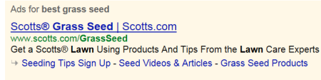 AdWords Sitelinks Scotts