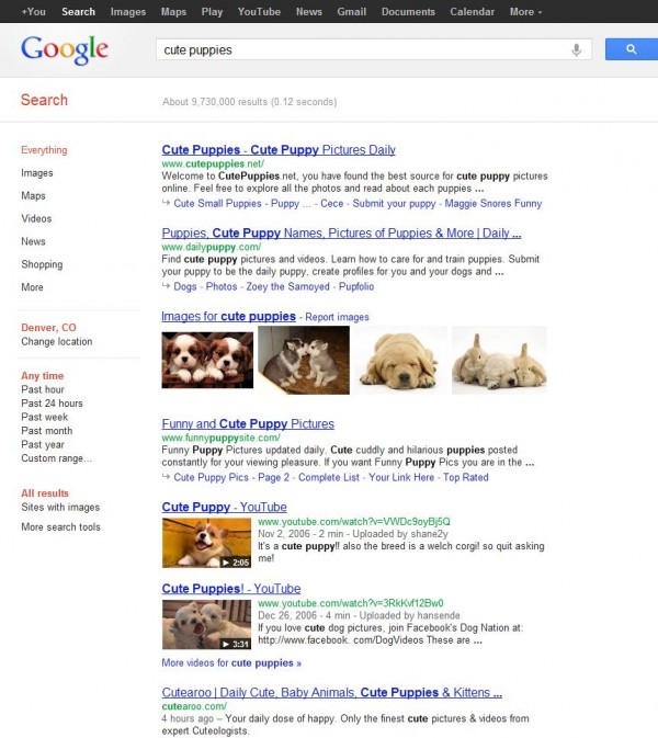 Desktop Google Search Results for 'cute puppies'