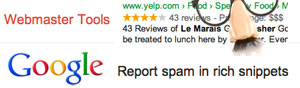 Google Report Rich Snippet Spam 1327585548