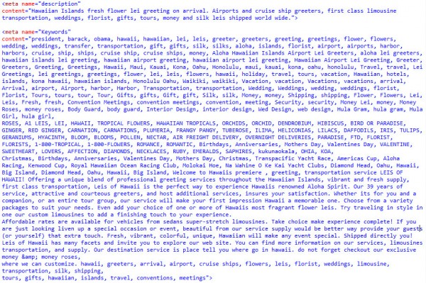 Hideous Meta Keywords Tag - Local Search