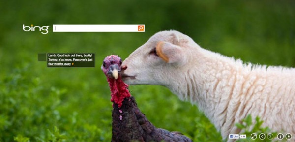 Bing Thanksgiving 2012 1353596171