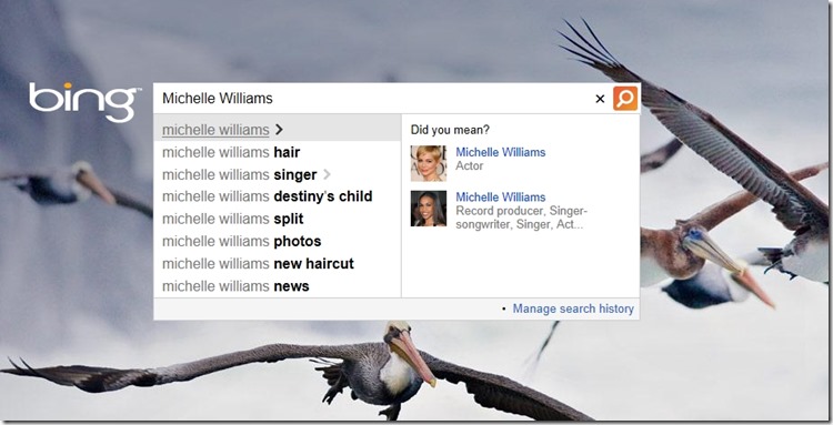 Bing Adds People Autosuggest Find Celebrities Colleagues With Public