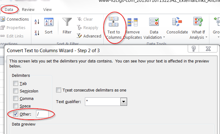 How to Delimit by / in Excel