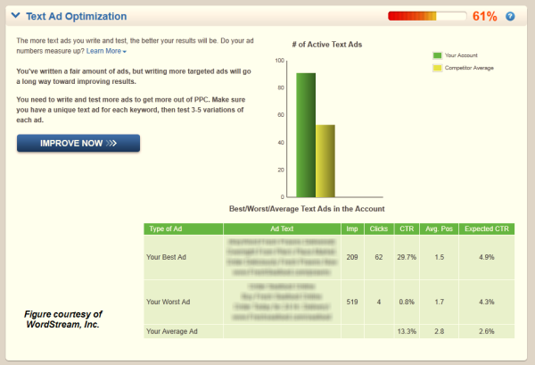 Figure F: This Small Business Advertiser has 100 ads!