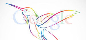 google-hummingbird-featured