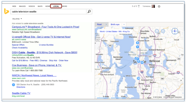 Bing Entity Search