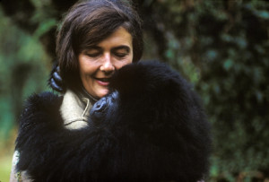 Dian Fossey pic