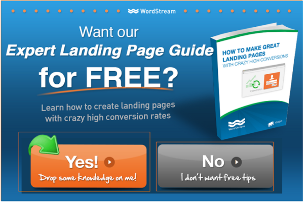 Expert landing page guide