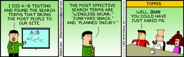 seo-geek-dilbert-1395146769-300x93