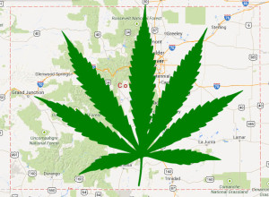 Marijuana in Maps and Local Search Listings