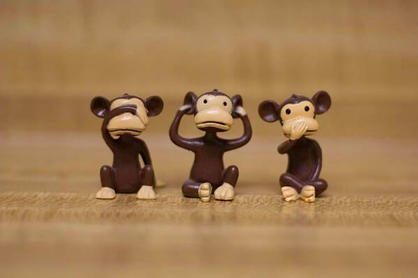 monkeys