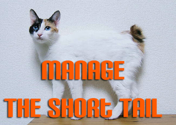 manage-the-short-tail