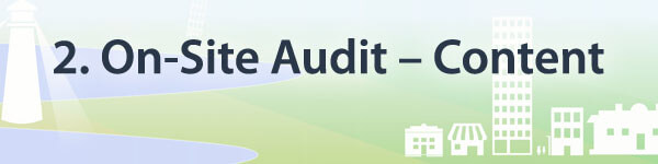 on site audit content