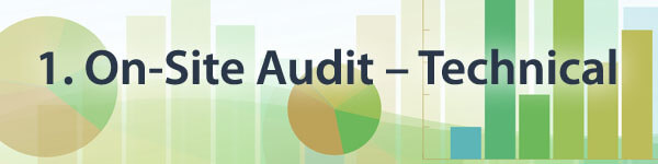 on site audit technical