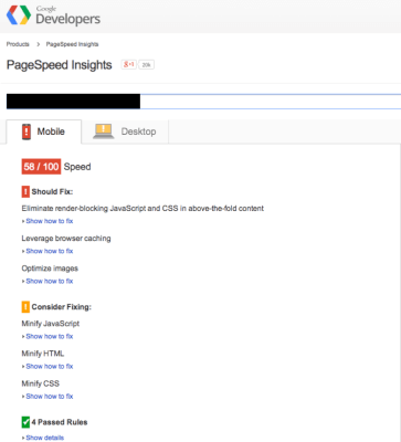 Google's PageSpeed Insights Tool