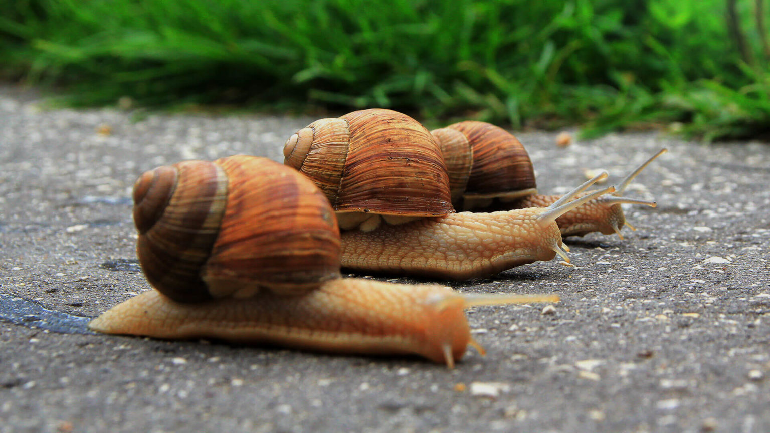 Site Speed & PPC Performance: Why You Can’t Ignore A Slow Site Anymore