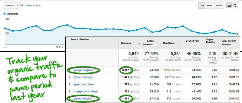 Google Analytics - organic search traffic