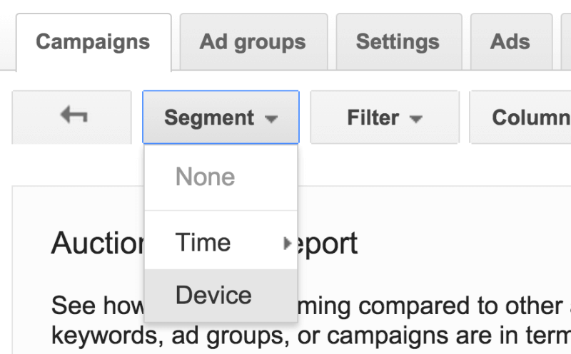 Segmenting The Report