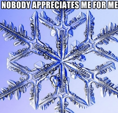 special snowflake meme