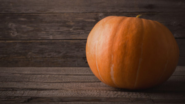 halloween2-pumpkin-ss-1920