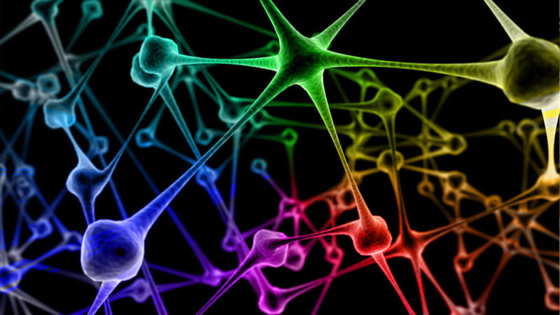 The Neural Network by rajasegar (CC BY-NC-ND 3.0) 