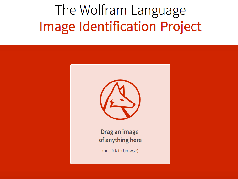 wolfram logo image